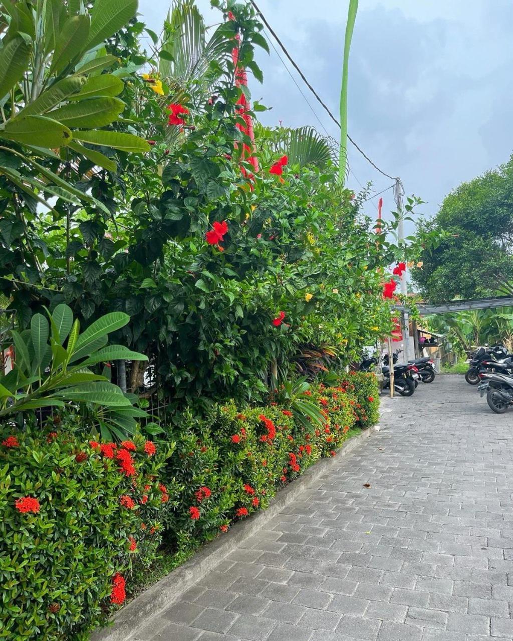 Pererenan Nengah Guest House Canggu Buitenkant foto